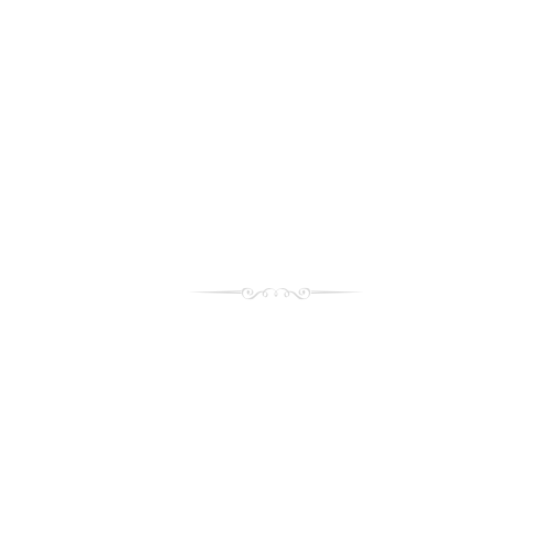 VSLN Ventures logo